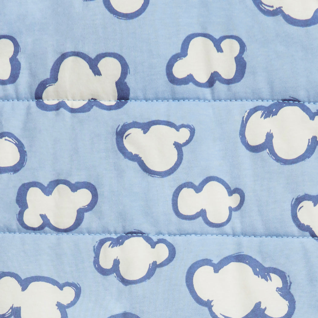 Sleep Bag Warm 2.5 TOG Daydream Blue