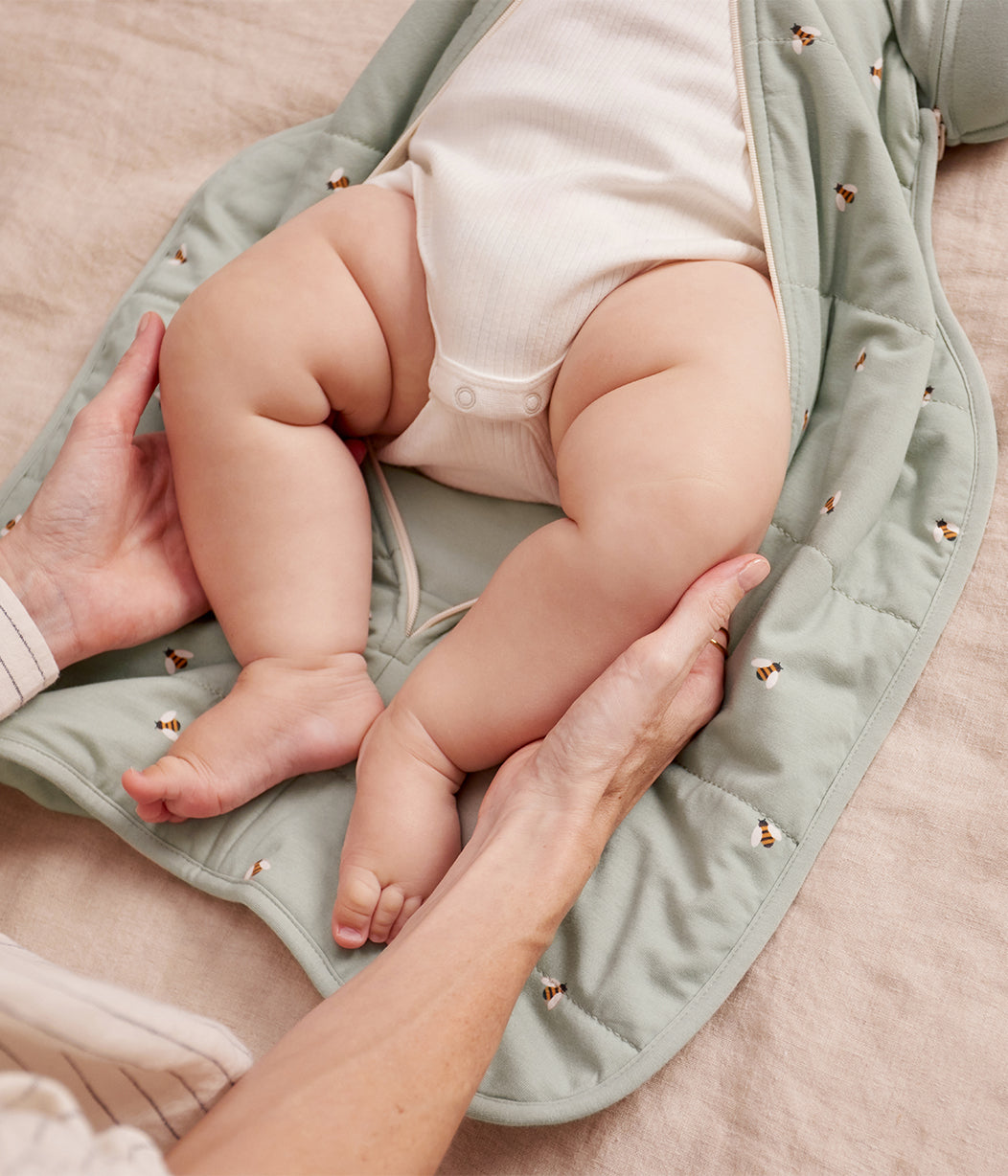 Swaddle Up™ Transition Bag 2.5 TOG Cotton Olive Bees